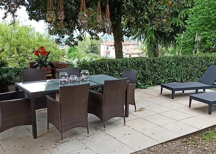 C & C * فالدوبياديني