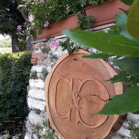 C & C